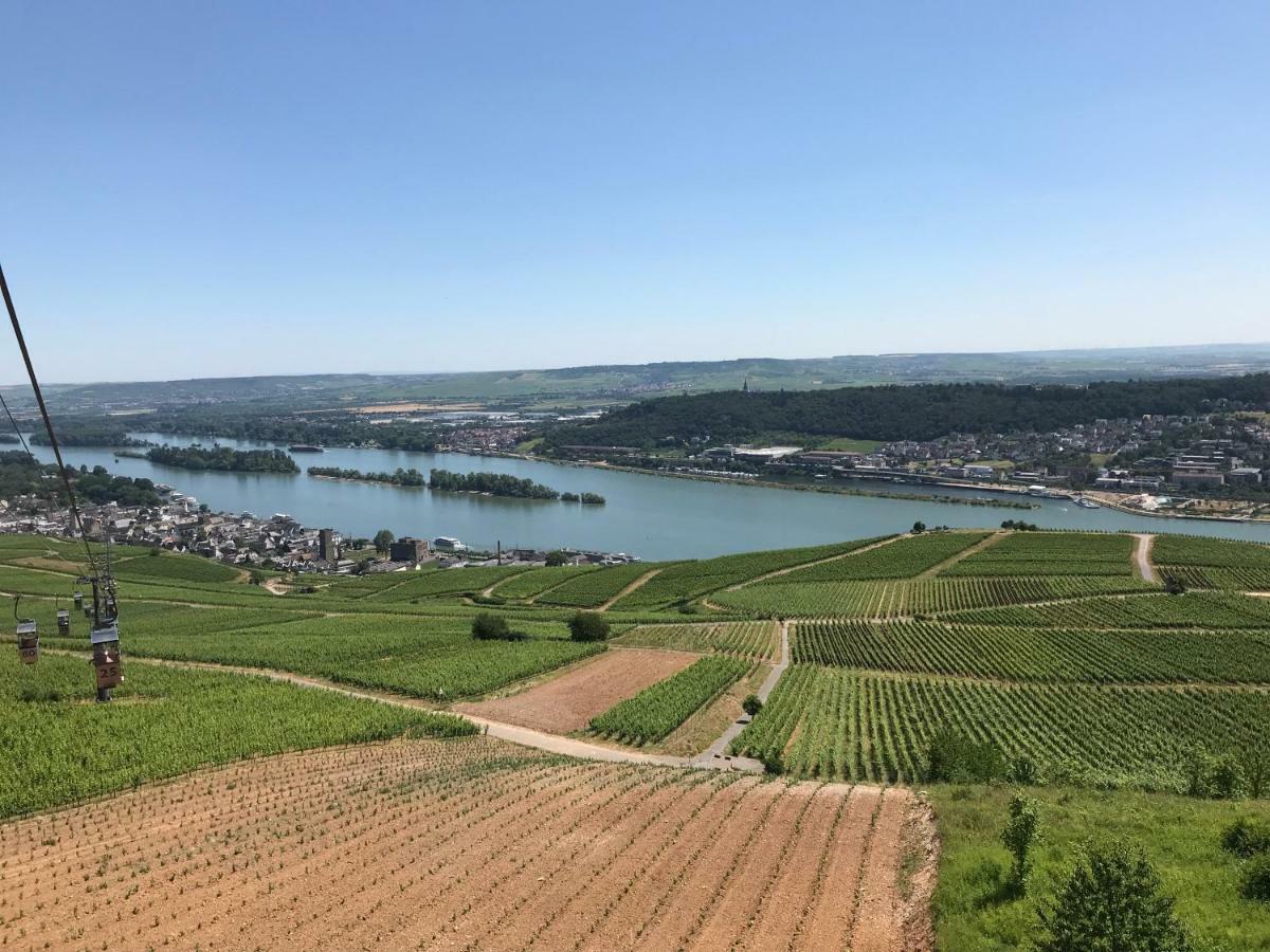Lejlighed Ruedesheimer Wohlfuehloase Rüdesheim am Rhein